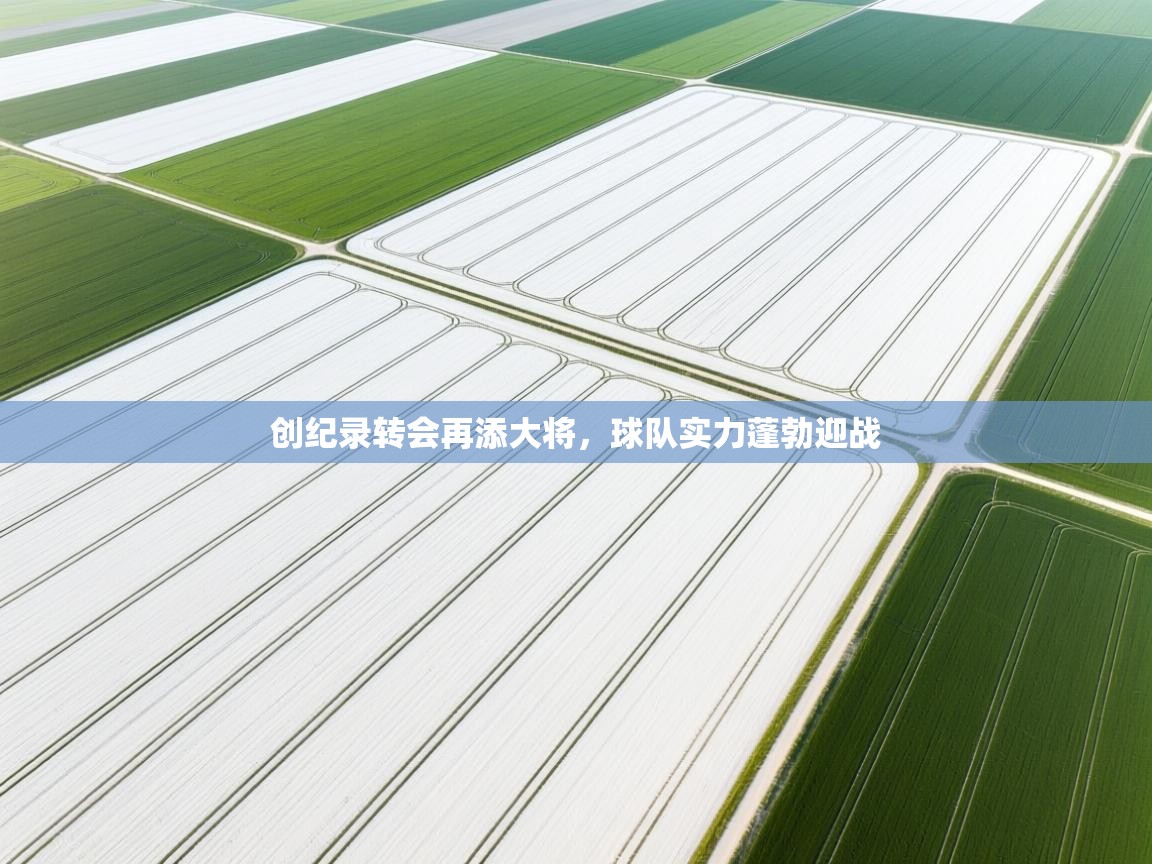 创纪录转会再添大将，球队实力蓬勃迎战